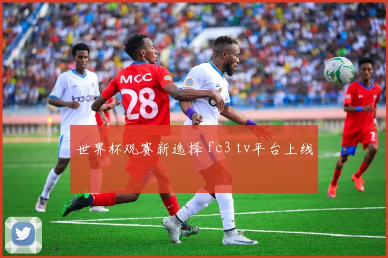 世界杯观赛新选择 fc3 tv平台上线