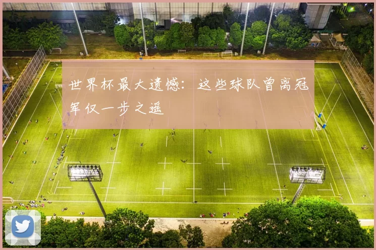 世界杯最大遗憾:这些球队曾离冠军仅一步之遥