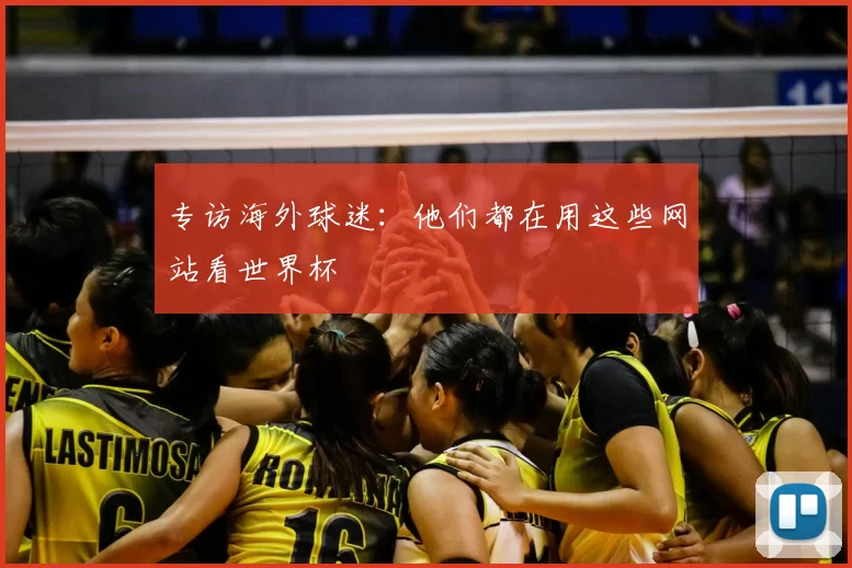 专访海外球迷:他们都在用这些网站看世界杯