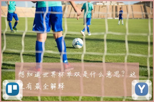 想知道世界杯单双是什么意思？这里有最全解释
