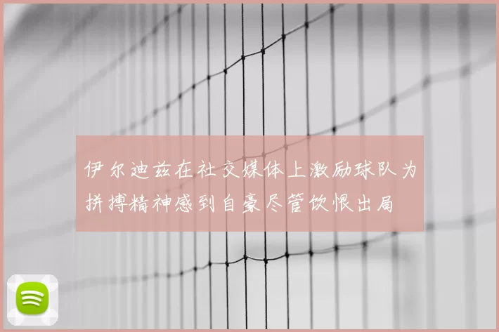伊尔迪兹在社交媒体上激励球队为拼搏精神感到自豪尽管饮恨出局