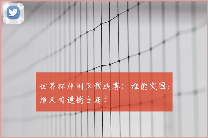 世界杯非洲区预选赛：谁能突围，谁又将遗憾出局？